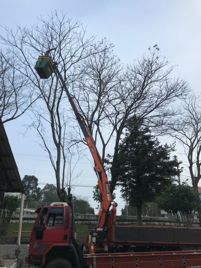 MELHORANDO E EMBELEZANDO O AMBIENTE DA ESCOLA MICHELS                                         